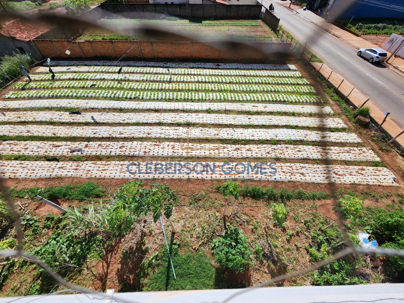 Casa, 4 quartos - Foto 28