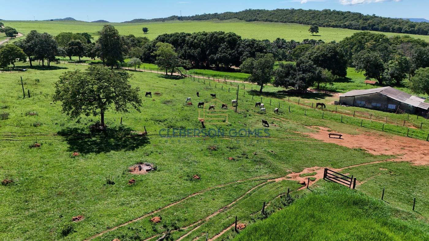 Fazenda, 3469 m² - Foto 24